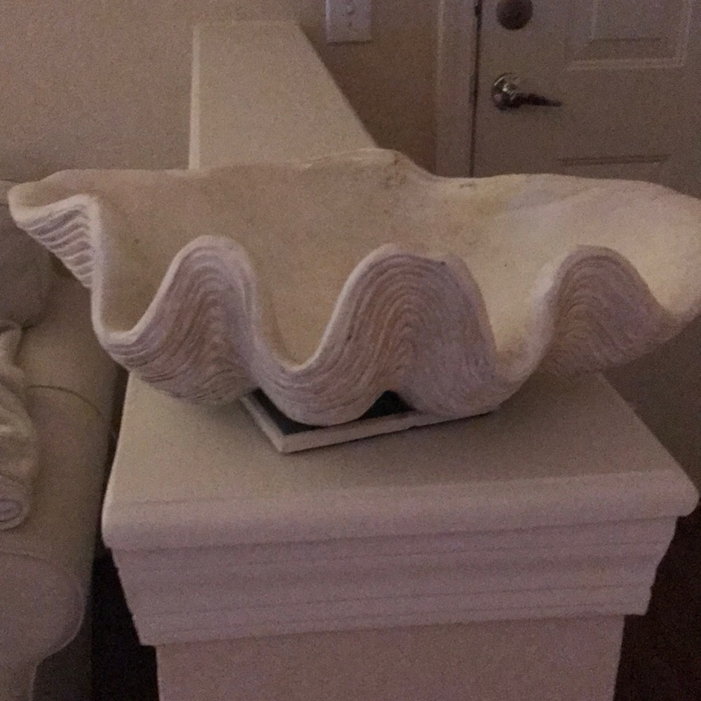 Clam shell decor